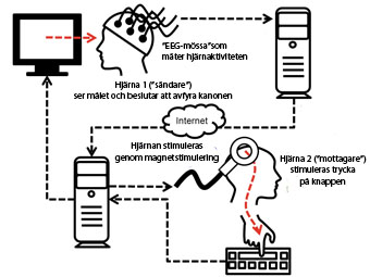 Hjärnförflyttning_bild web