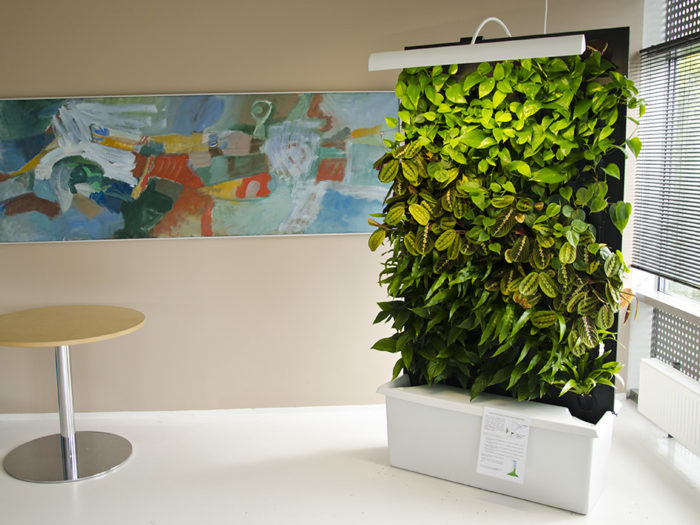 Gröna väggen 1 webb