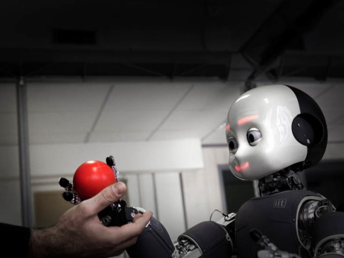 Ge mig den. När Giorgio Metta äntligen låter Icub få bollen sprider sig ett förnöjt leende över humanoidens läppar.