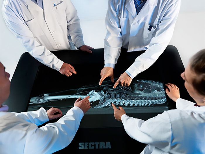 Avancerad visualisering. Sectras visualiseringsbord erbjuder medicinsk utbildning via detaljerade interaktiva 3D-bilder av människokroppen. Det stöder även 
planering inför operationer.