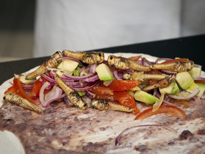 Läckert. På hotell- och restaurangskolan i staden Wageningen testas och tillagas olika insektsrecept.