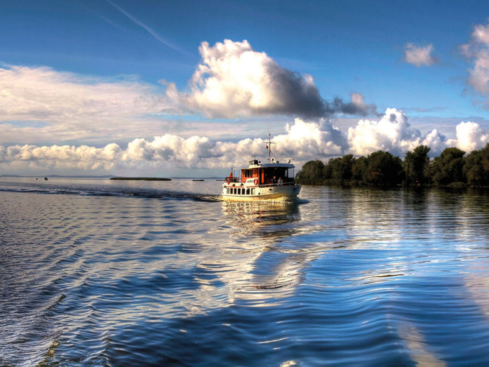 Skog, vind och vatten. Skogen i Litauen växer så det knakar, men på grund av att ett splittrat ägarskap och en tungrodd byråkrati utgör skogen i många fall endast en vacker bakgrund som inte lockar utländska investerare. Foto: Mostphotos / Rimantas Abromas