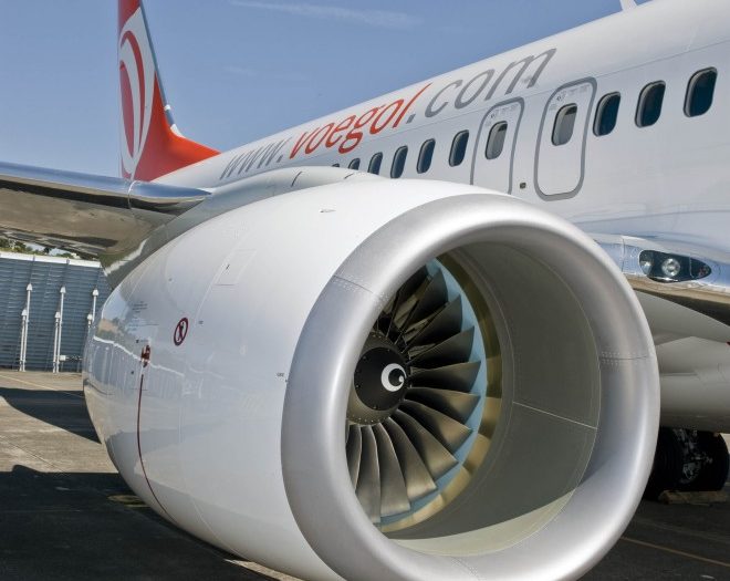 Högtflygande bioekonomi. Det fossila flygbränslet ska gradvis ersättas av biobränslen.