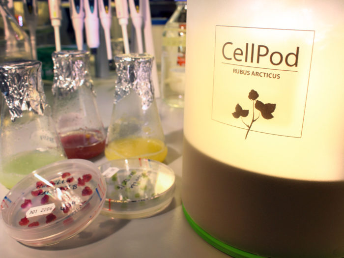 Cellpod är en bioreaktor för hemmabruk.