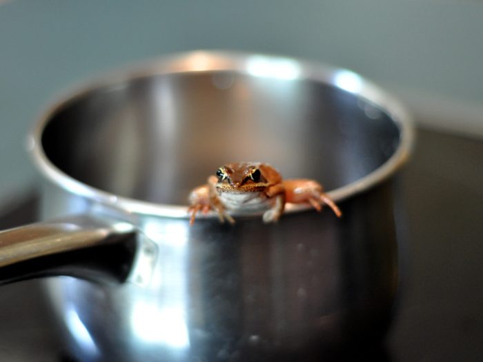 Game over. Med Donald Trump i Vita Huset och klimatskeptiker vid ledande positioner kan klimatet igen bli en politisk, snarare än vetenskaplig fråga. Foto: Flickr