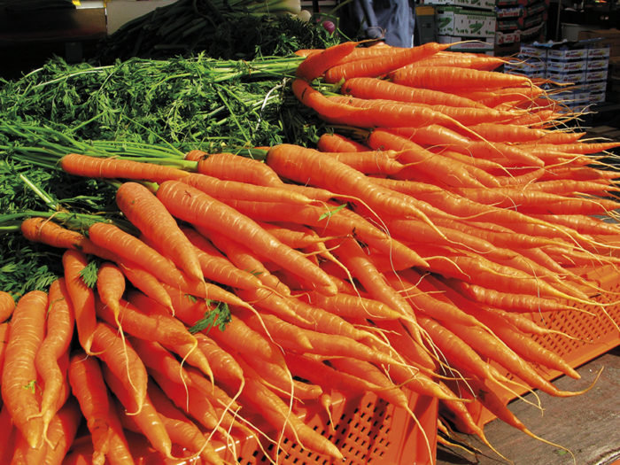 Kaninens paradis. Torget i Tammerfors. En bättre källa till A-vitamin än morötter är dock lever. Foto: Flickr