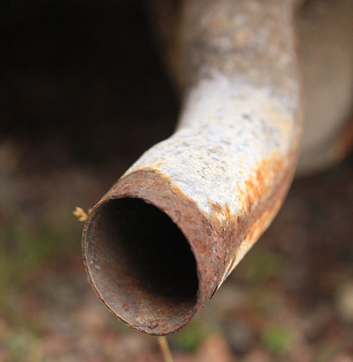 Det som göms i snö kommer upp i tö. Politikernas kelgris – biodrivmedel – ifrågasätts då forskare påminner om att man i stort sett har förbisett nettoeffekterna av avskogning. Bild: Mostphotos
