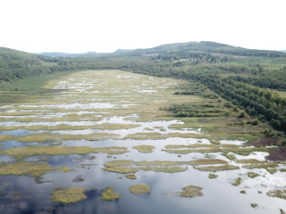 Nygårdsmyren nära Gävle är en av Neovas efterbehandlade torvtäkter, en ny våtmark med fågelsjöar och växtlighet i kanterna för att gynna biologisk mångfald.